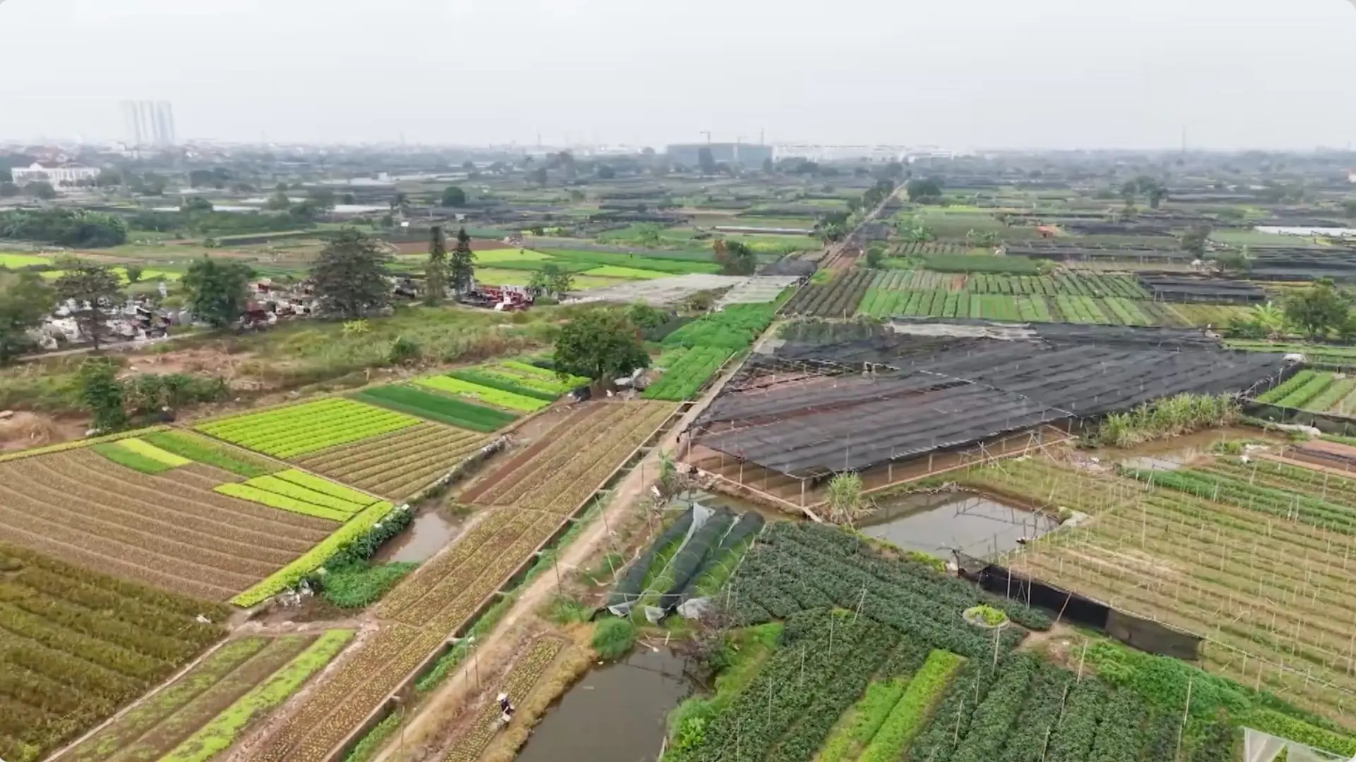 Tăng tốc GPMB tại khu công nghệ cao sinh học Hà Nội